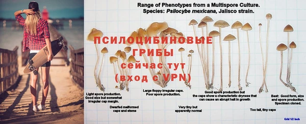 каннабис Бронницы